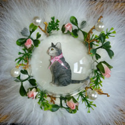 Nachtlicht Katze