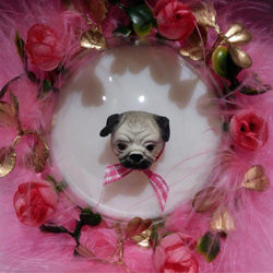 Mops pink