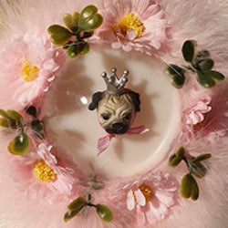 Mops rosa
