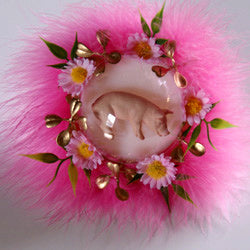 Schwein