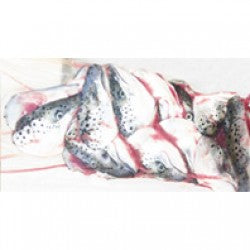 Schal Fisch